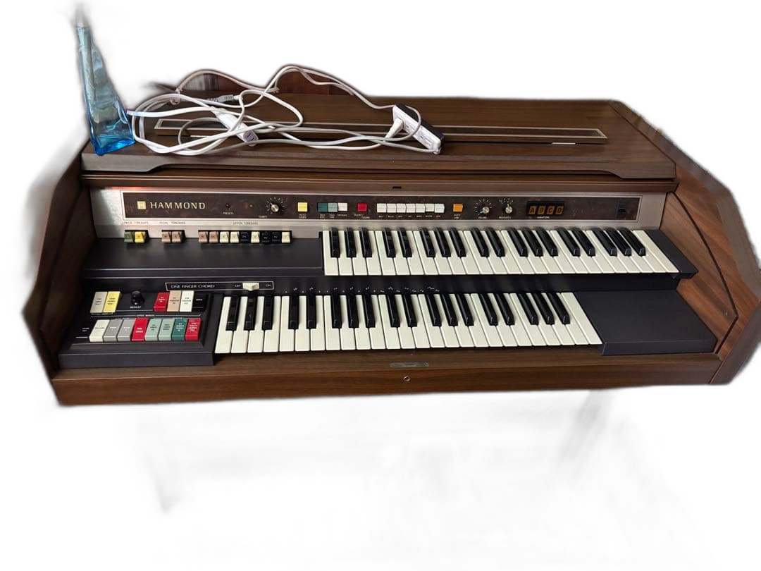 Electronic Organ Hammond