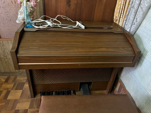 Electronic Organ Hammond