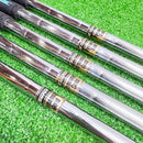 True Temper Shaft X100 &Iomic