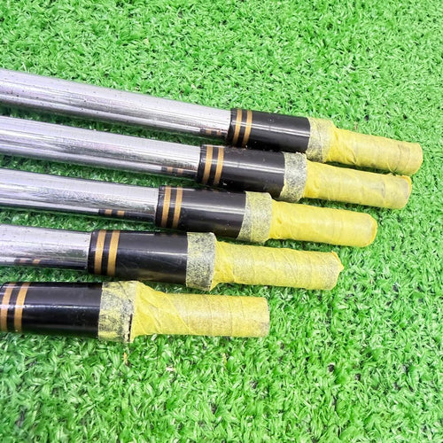 True Temper Shaft X100 &Iomic