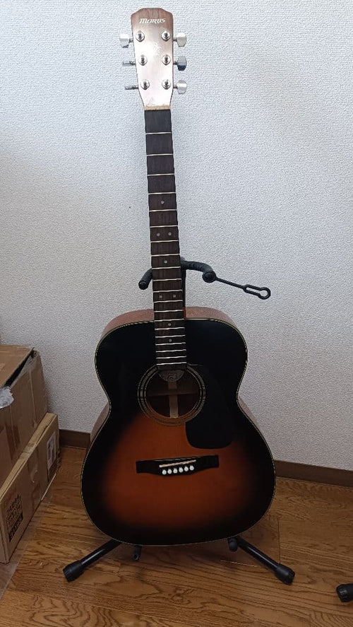 Acoustic Guitars Morris F-01Iits