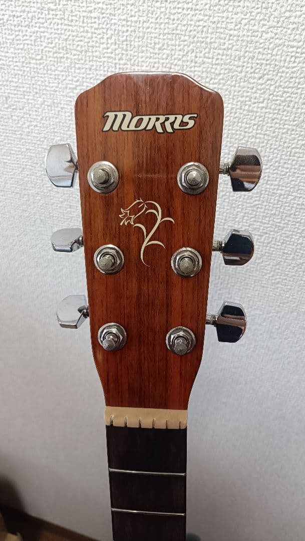 Acoustic Guitars Morris F-01Iits