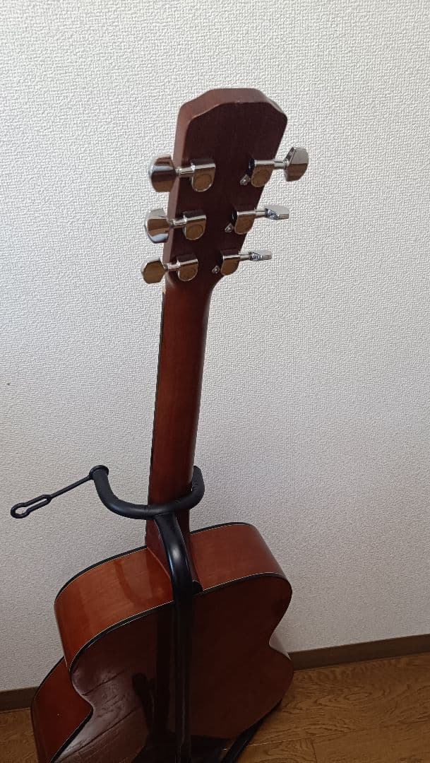 Acoustic Guitars Morris F-01Iits