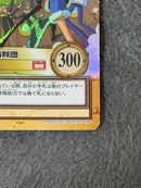 One Piece Card Game C489