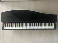 Korg Keyboards Digital Pianos Micropiano