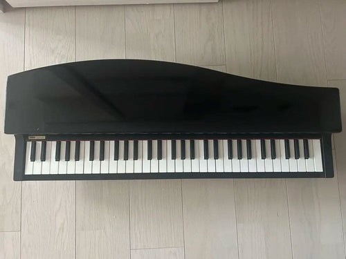Korg Keyboards Digital Pianos Micropiano