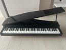 Korg Keyboards Digital Pianos Micropiano
