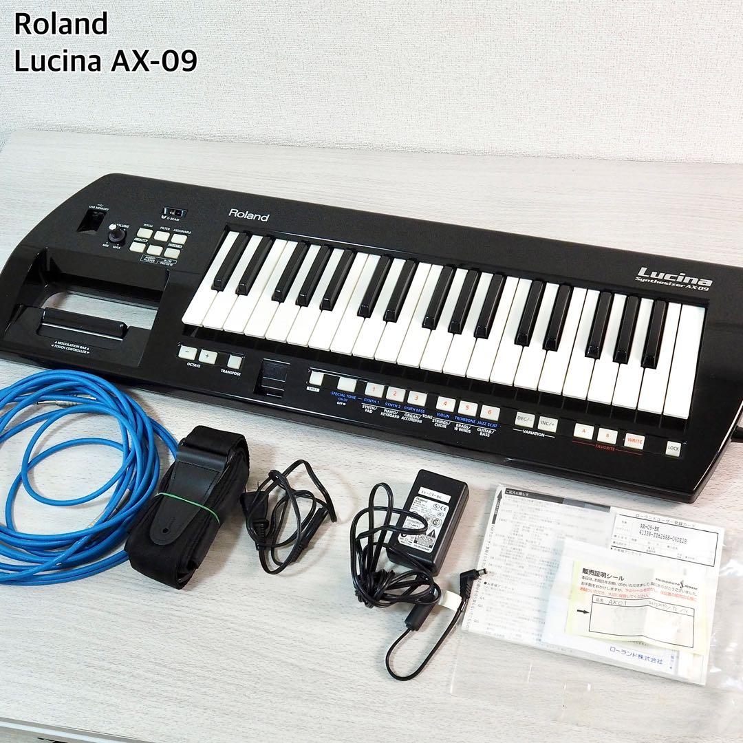 Analog Synthesizers Roland Lucina Ax-09
