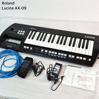 Analog Synthesizers Roland Lucina Ax-09