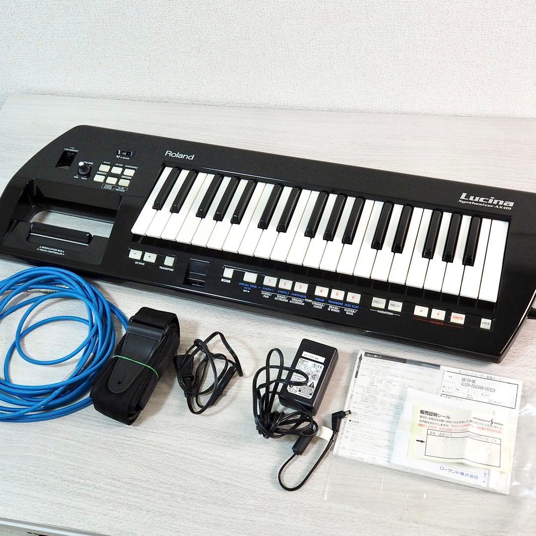 Analog Synthesizers Roland Lucina Ax-09