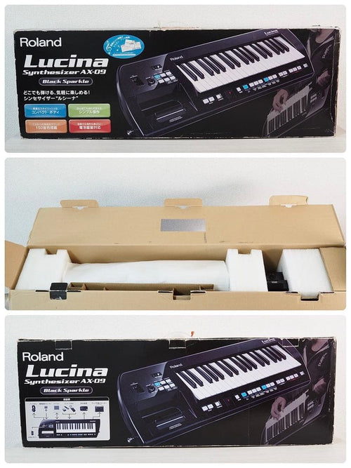 Analog Synthesizers Roland Lucina Ax-09