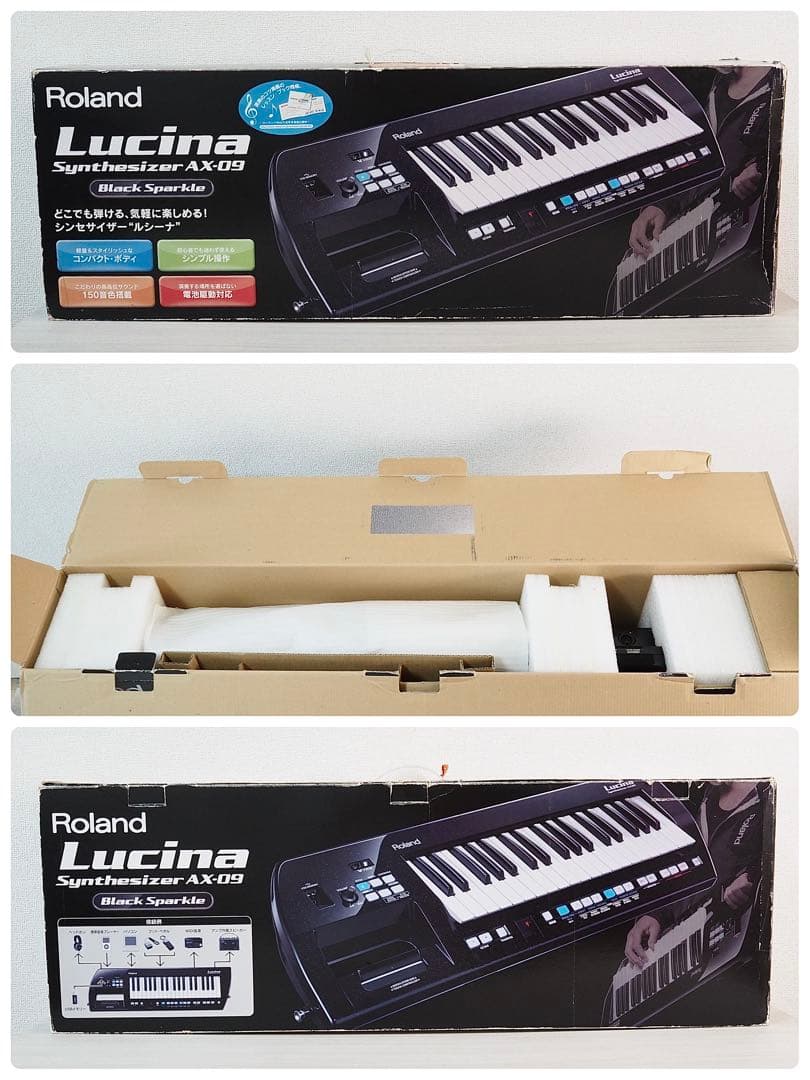 Analog Synthesizers Roland Lucina Ax-09