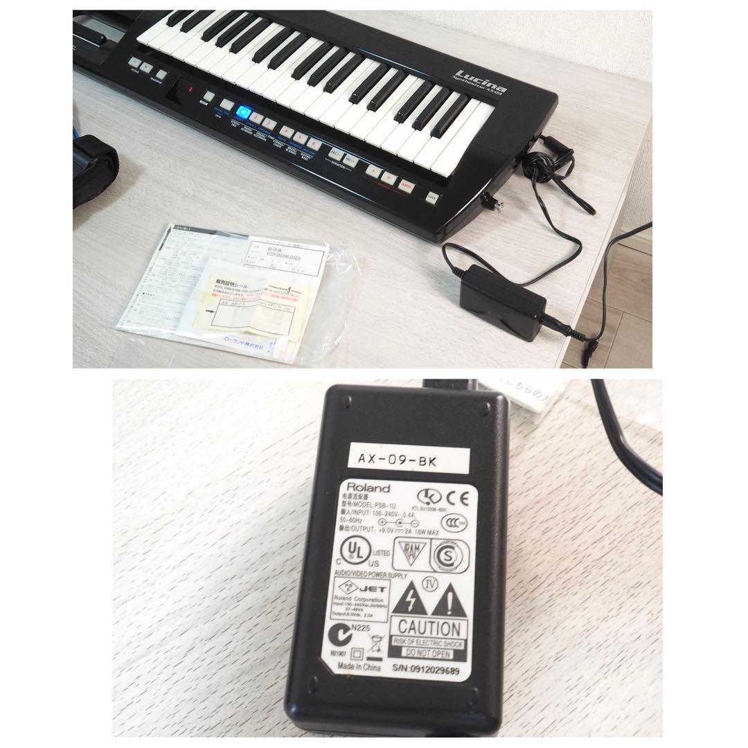 Analog Synthesizers Roland Lucina Ax-09
