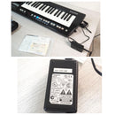 Analog Synthesizers Roland Lucina Ax-09