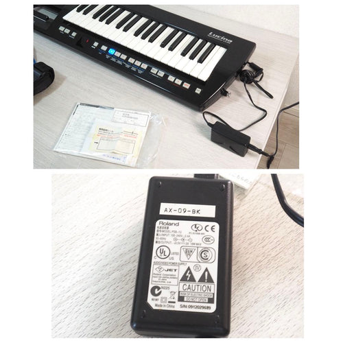 Analog Synthesizers Roland Lucina Ax-09