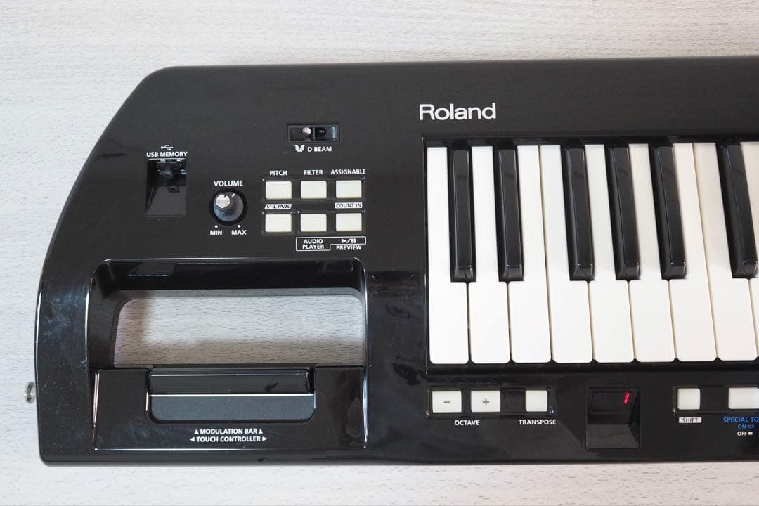 Analog Synthesizers Roland Lucina Ax-09