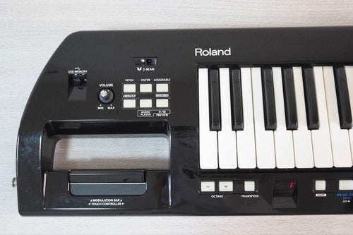 Analog Synthesizers Roland Lucina Ax-09