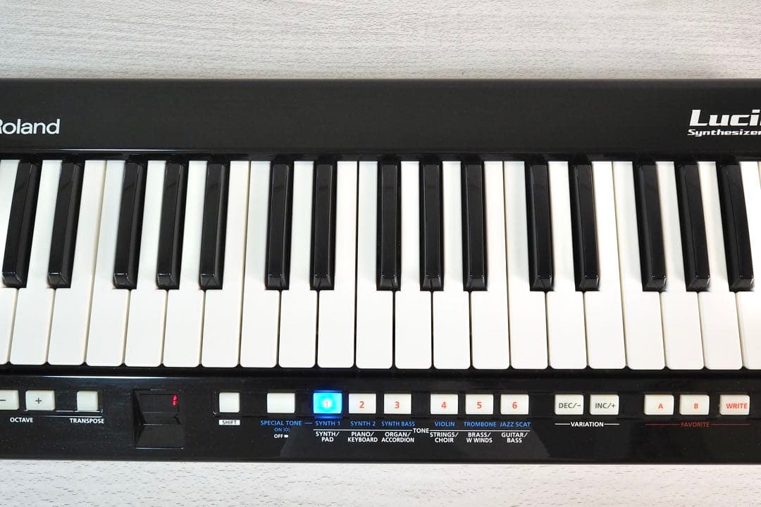Analog Synthesizers Roland Lucina Ax-09
