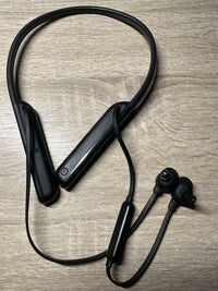 Sony Wireless Earphones Wi-1000Xm2