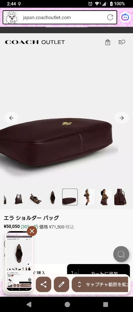 Coach Shoulder Bags
