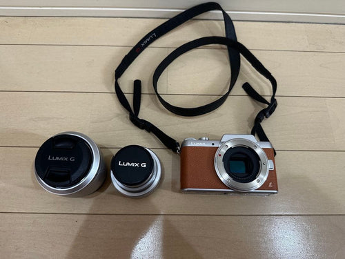 Panasonic Mirrorless Interchangeable Lens Cameras Lumix