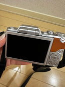 Panasonic Mirrorless Interchangeable Lens Cameras Lumix