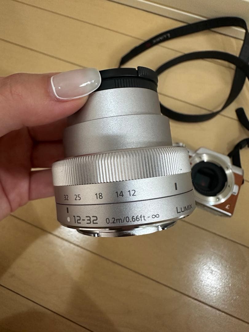 Panasonic Mirrorless Interchangeable Lens Cameras Lumix
