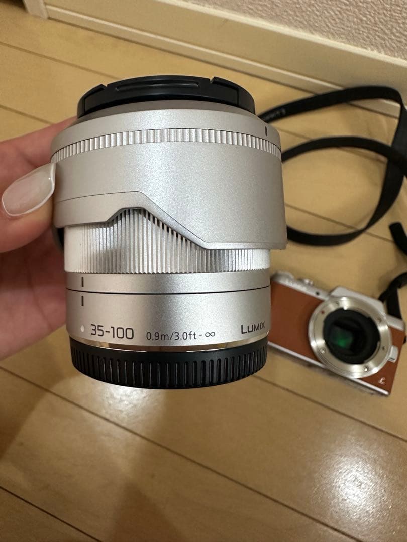Panasonic Mirrorless Interchangeable Lens Cameras Lumix