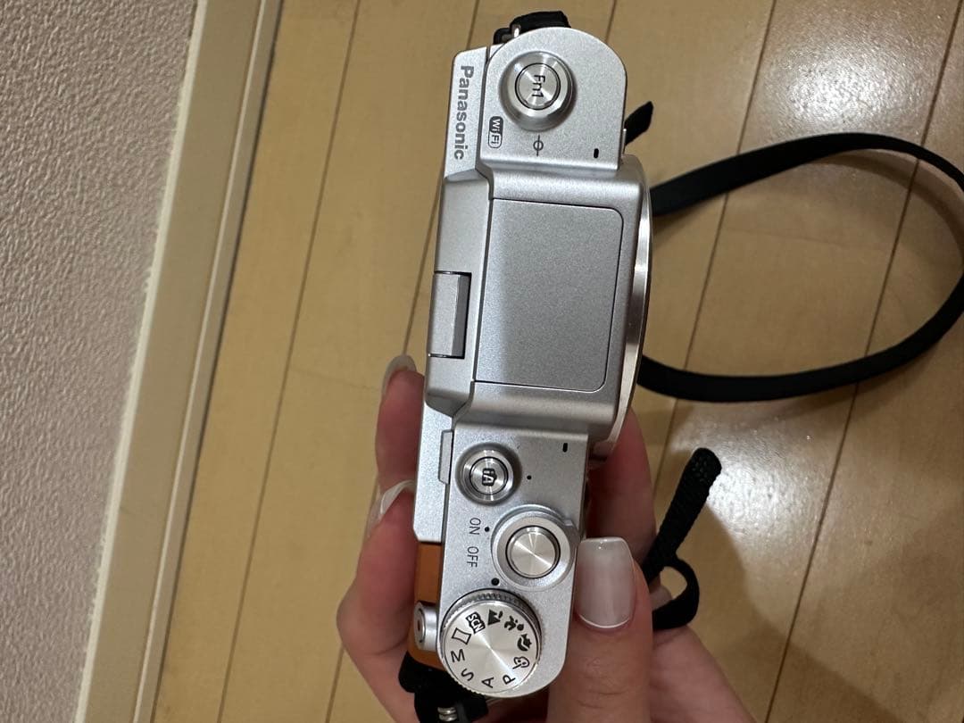 Panasonic Mirrorless Interchangeable Lens Cameras Lumix