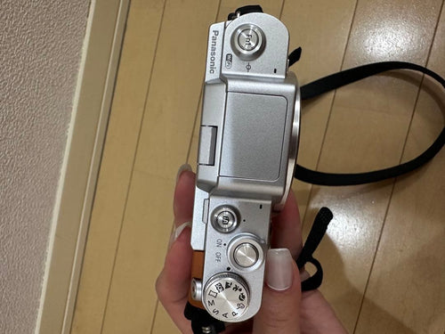 Panasonic Mirrorless Interchangeable Lens Cameras Lumix