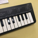 Casio Keyboard Electronic Piano Casio/Sa-2