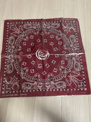 Cartier Bandanas Thin Scarves Sacai X