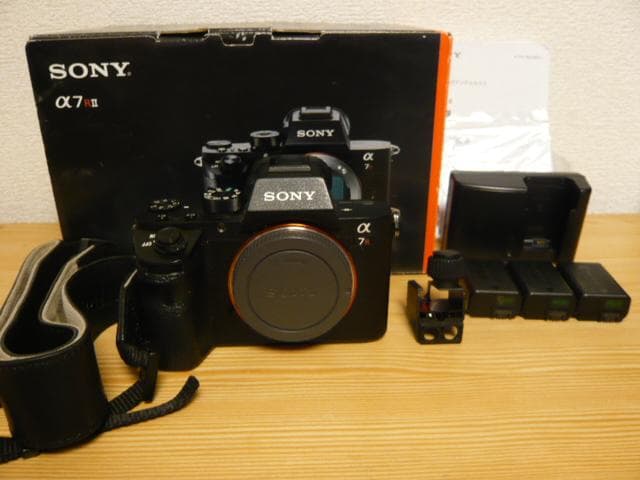 Sony Mirrorless Interchangeable Lips 7R Ii 24-240Mm