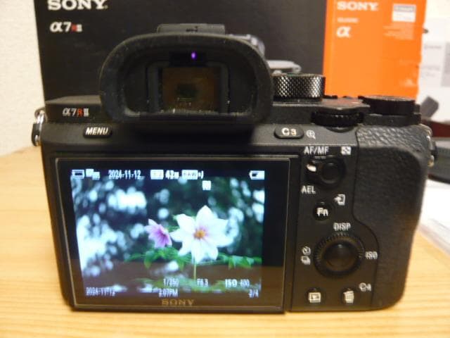 Sony Mirrorless Interchangeable Lips 7R Ii 24-240Mm
