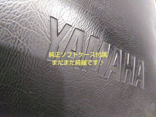 Yamaha Accordions Ya-21