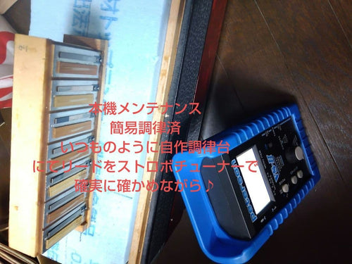 Yamaha Accordions Ya-21
