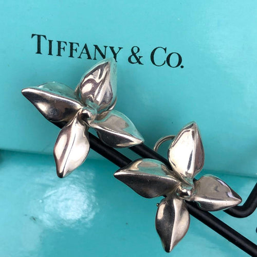 Tiffany Earrings (Pairs) (C061903) Tiffany&Co. 925