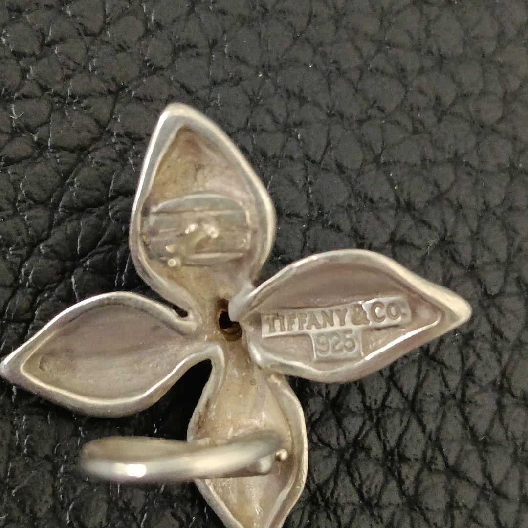 Tiffany Earrings (Pairs) (C061903) Tiffany&Co. 925