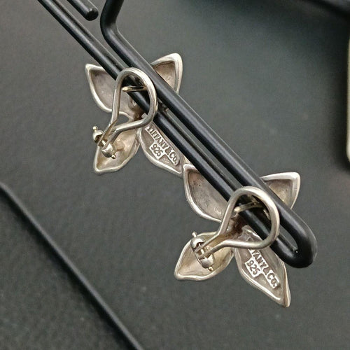 Tiffany Earrings (Pairs) (C061903) Tiffany&Co. 925