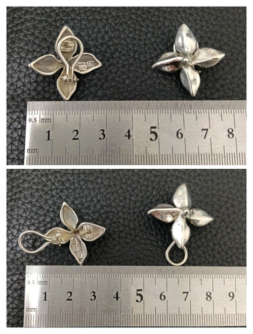 Tiffany Earrings (Pairs) (C061903) Tiffany&Co. 925