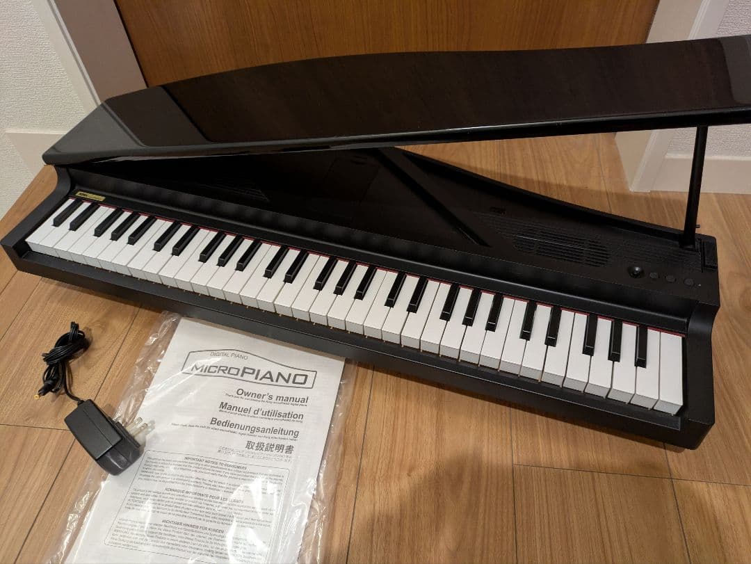 Korg Keyboard Electronic Piano Micro