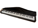 Korg Keyboard Electronic Piano Micro