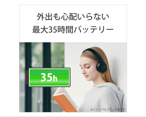 Sony Wireless Headphones Wh-Ch510