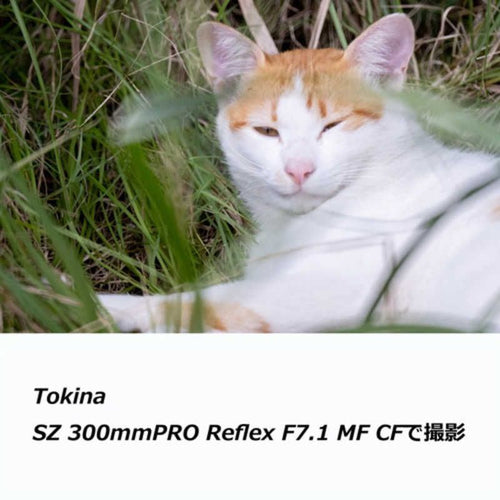 Kenkotokina Others E /Aps-C Sz Pro Reflex F7.1 Mf Cf