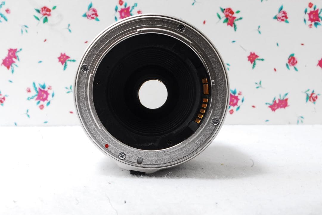 Lens (Zoom) 28-80Mm Sigma Canon