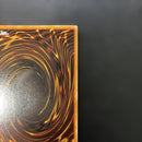 Yu -Gi -Oh! Ocg Duel Monsters (Foreign Language Version) 1St Dik-P001 5L