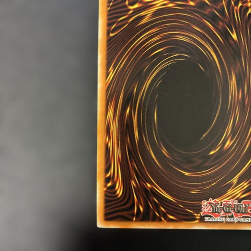 Yu -Gi -Oh! Ocg Duel Monsters (Foreign Language Version) 1St Dik-P001 5L