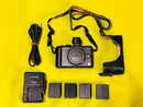 Panasonic Mirrorless Interchangeable Lens Cameras Lumix Dmc-Gf1