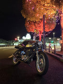 Mufflers Sr400