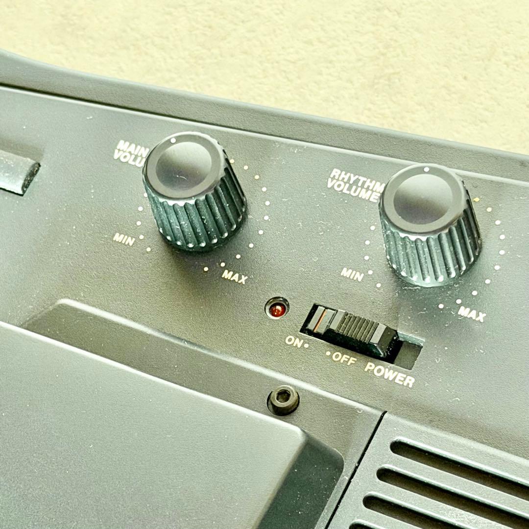 Casio Electric Guitars Dg-1